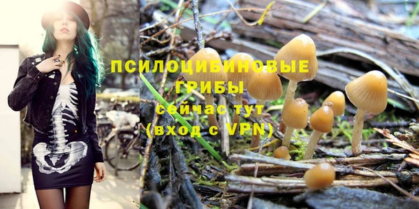 гашик Богданович