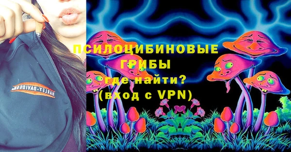 COCAINE Богородицк