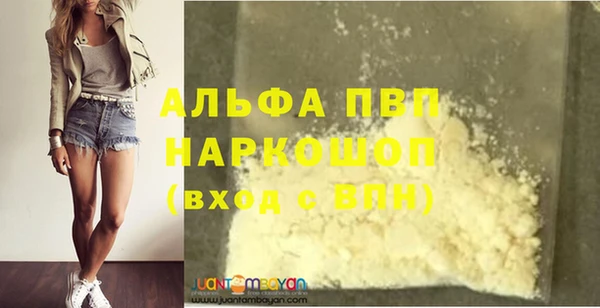 гашик Богданович