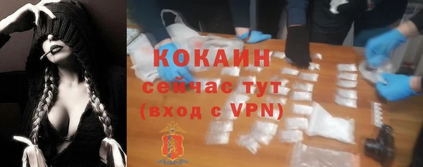гашик Богданович