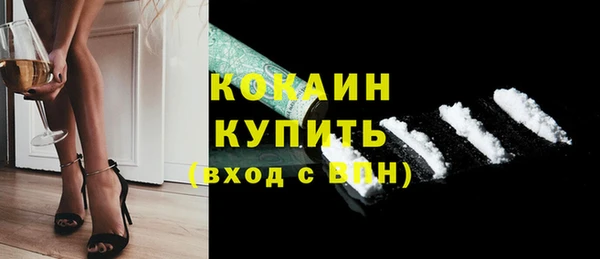гашик Богданович