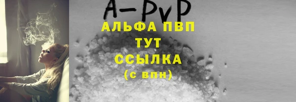 гашик Богданович
