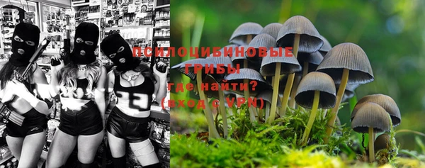 COCAINE Богородицк