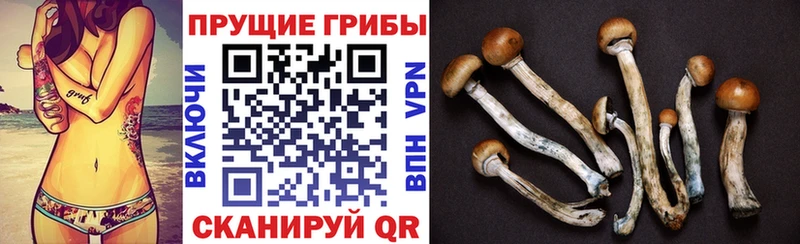 Псилоцибиновые грибы GOLDEN TEACHER Волоколамск