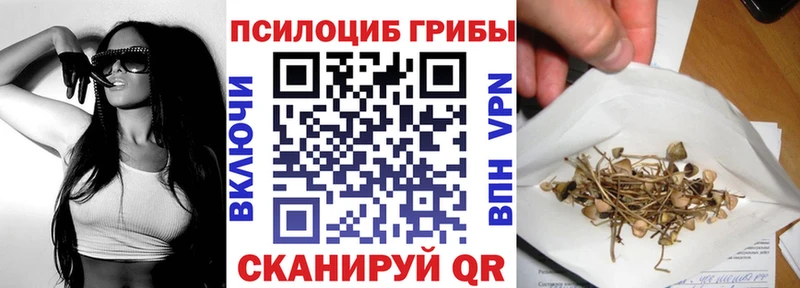 Галлюциногенные грибы Psilocybe Волоколамск